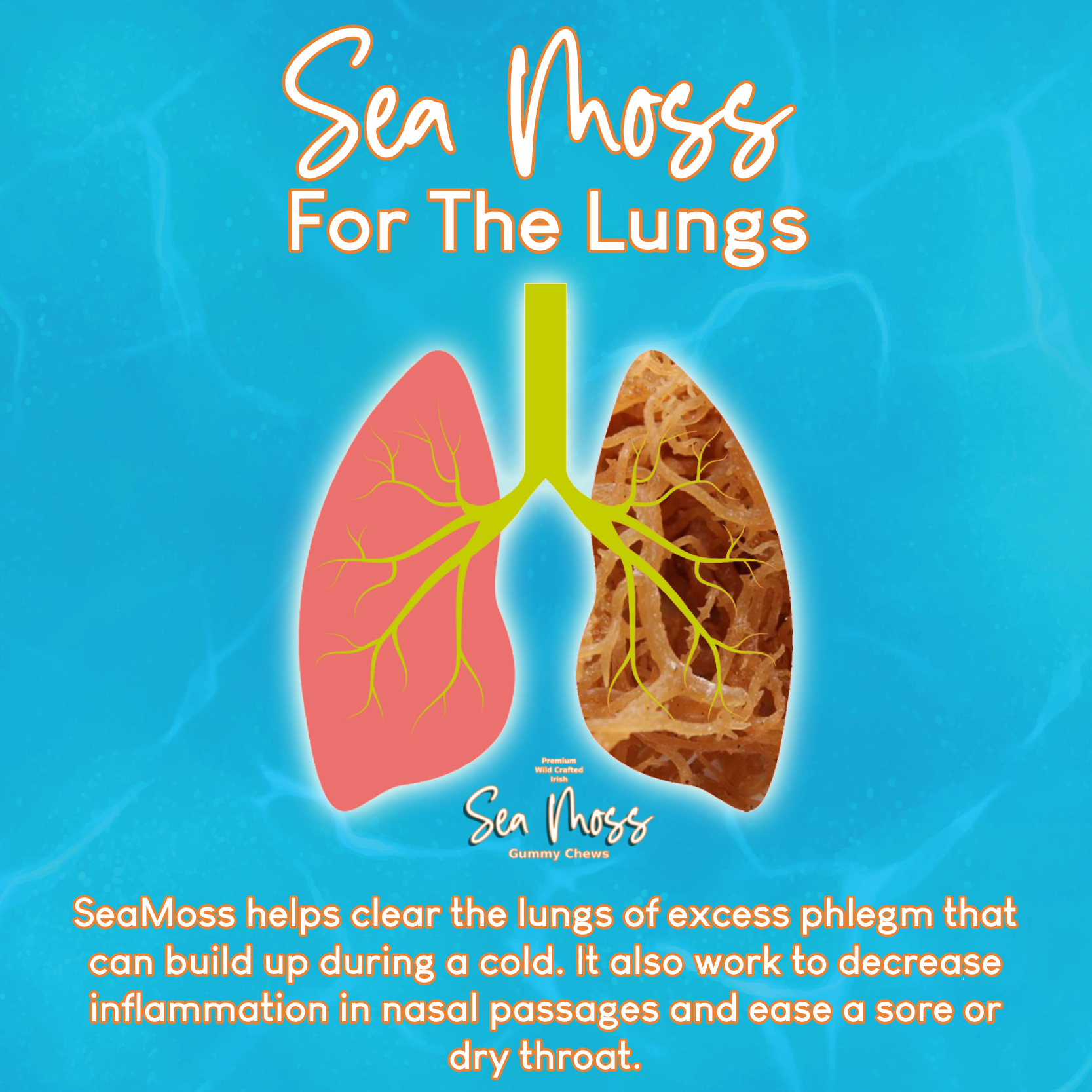 SeaMoss And The Lungs