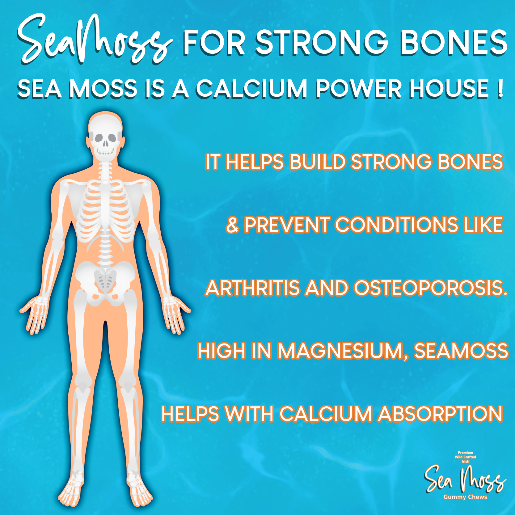 SeaMoss For Stronger Bones